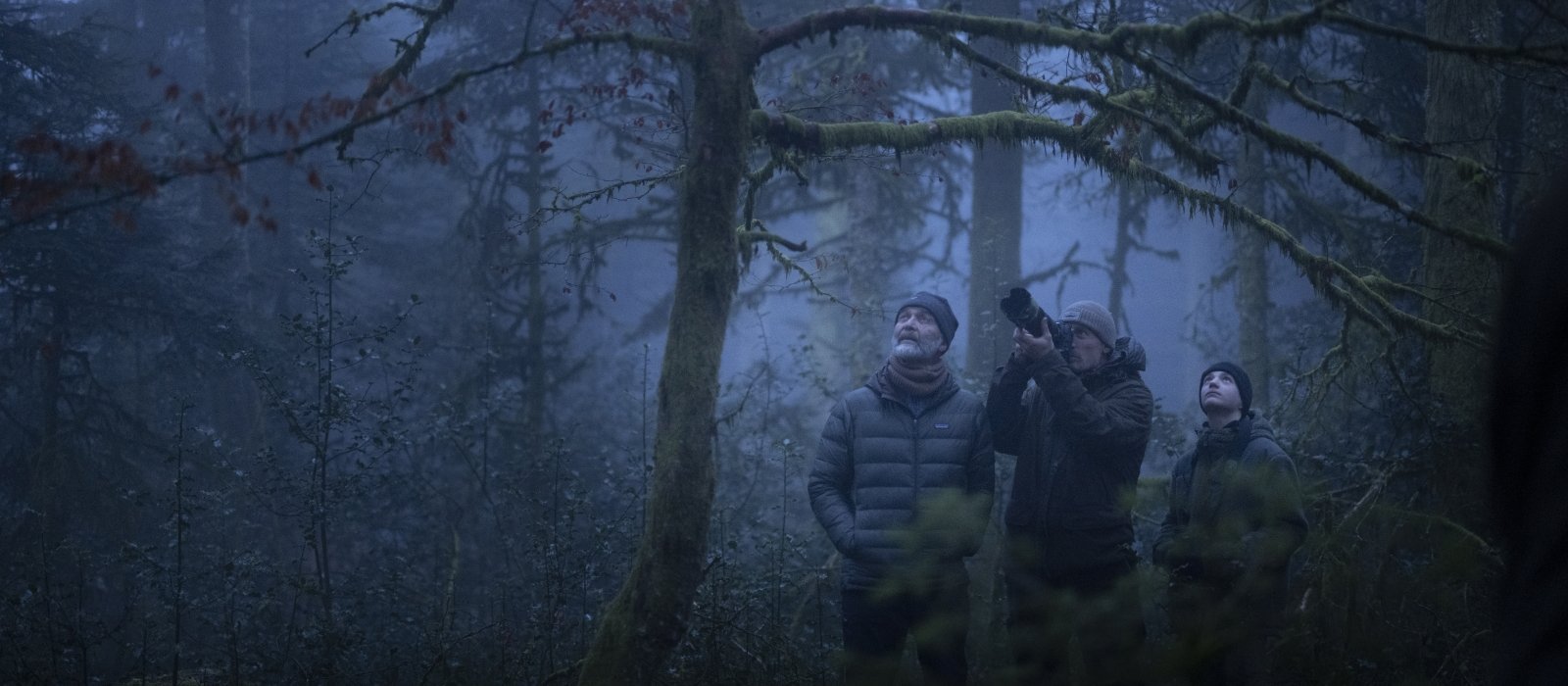 Le Chant des forêts