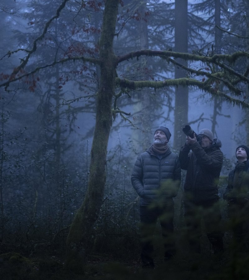 Le Chant des forêts