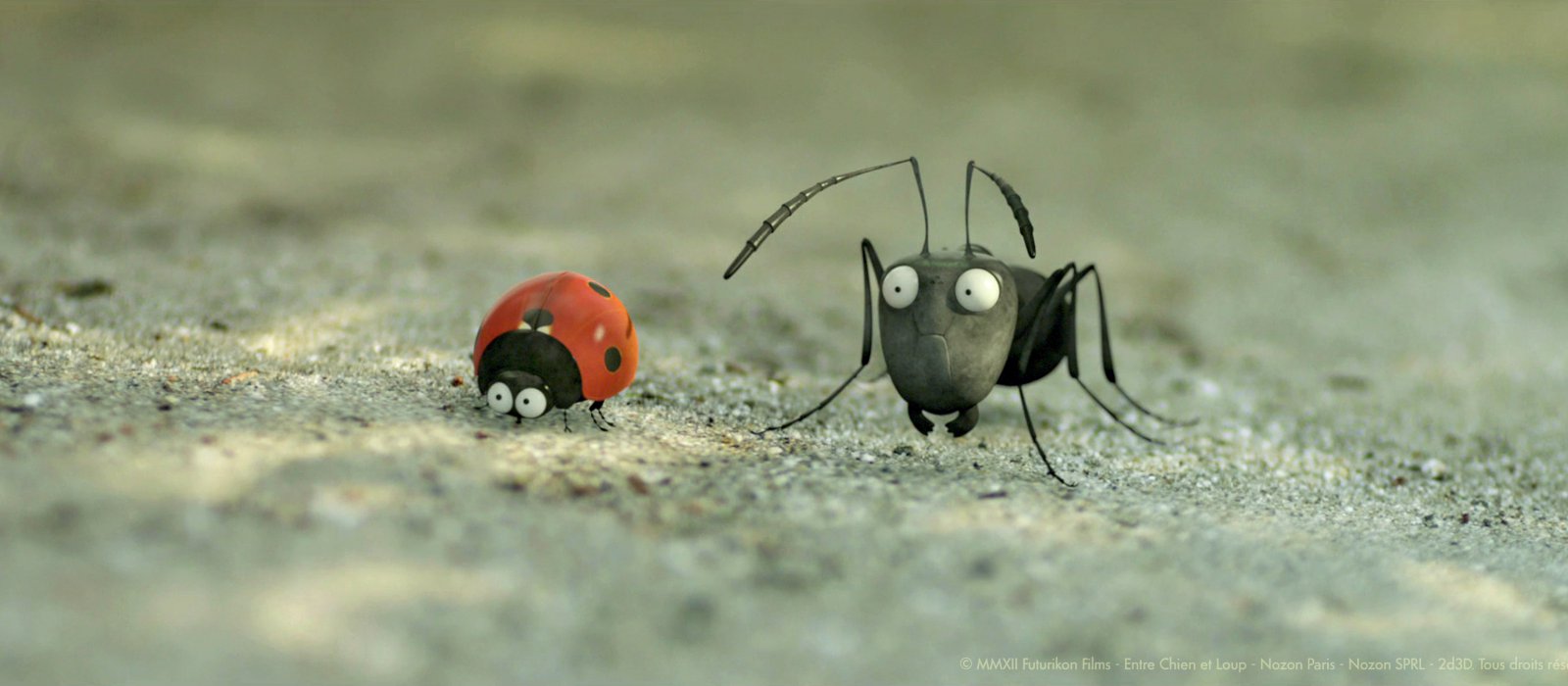Minuscule - Het verborgen leven van de insecten