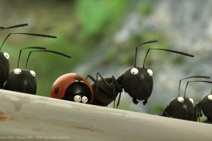 Minuscule - Het verborgen leven van de insecten