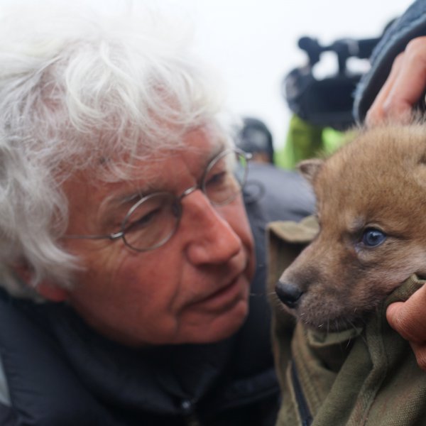 Jean-Jacques Annaud